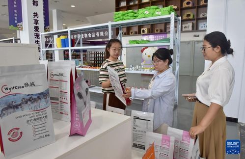 河北邢臺(tái) 以鄉(xiāng)村電商與信息咨詢鋪就產(chǎn)業(yè)振興快車道